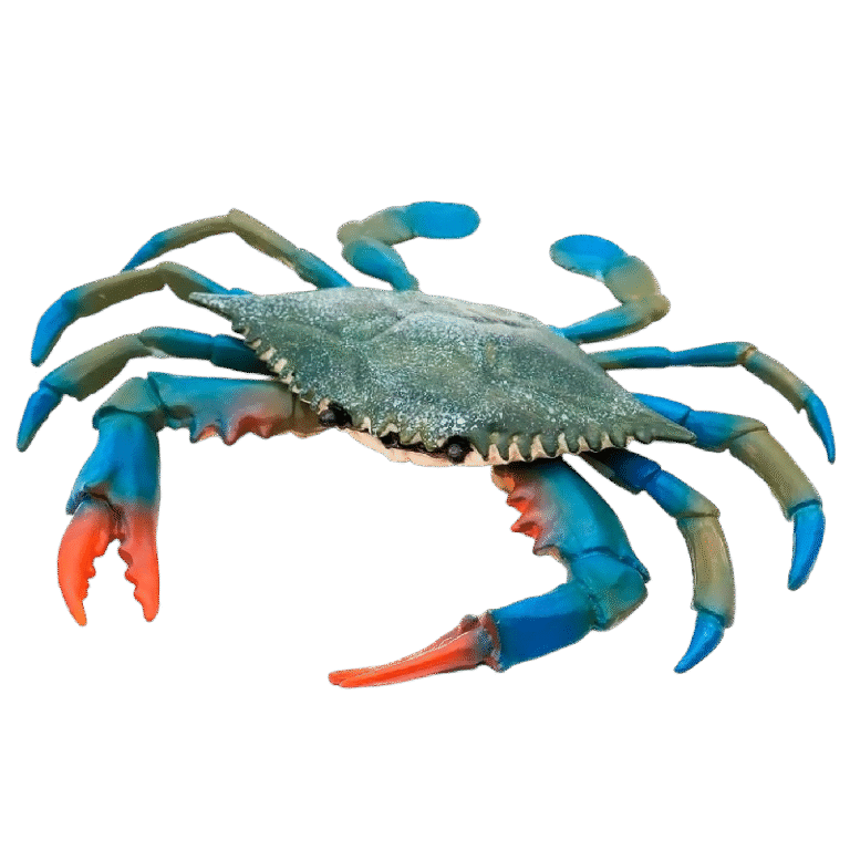 Blue Crab