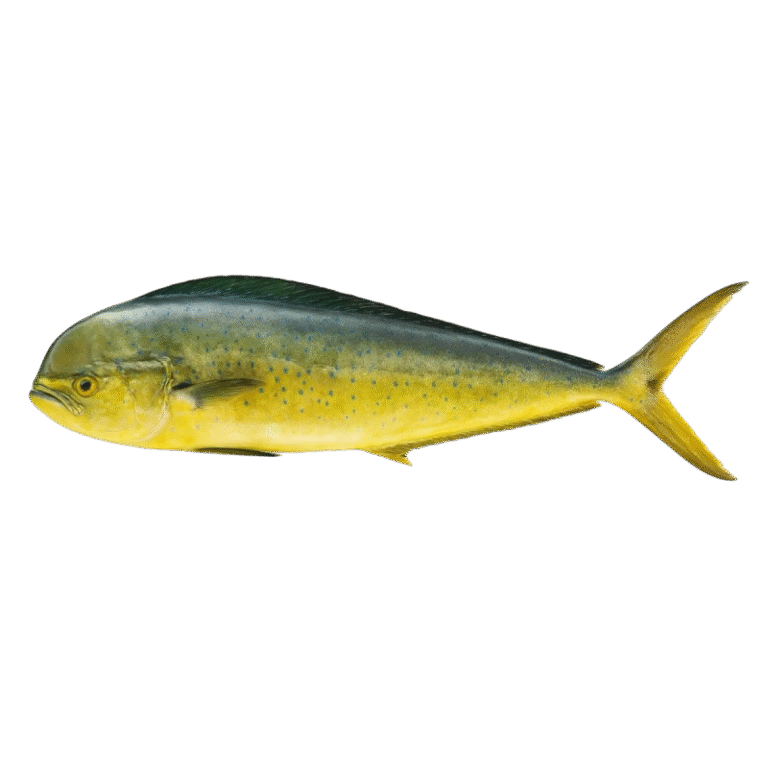 Mahimahi