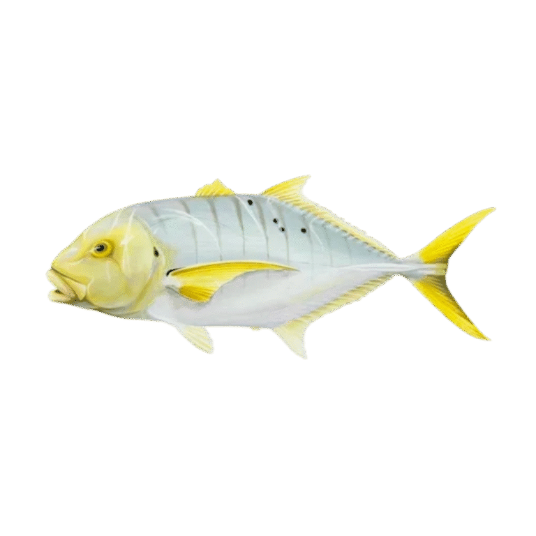 Golden Trevally
